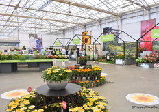 Nog een overzichtsfoto.